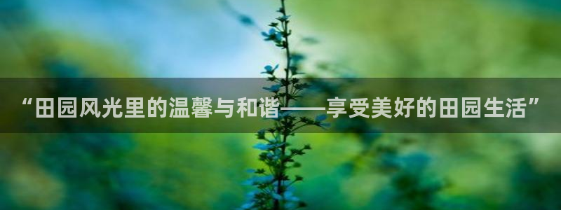 金年会金字招牌在线入口