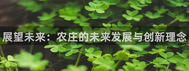 金年会官网地址
