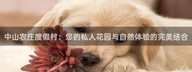 金年会金字招牌诚信至上