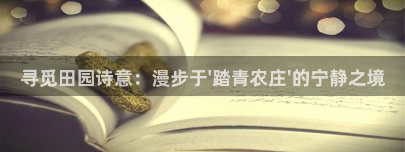 金立年会