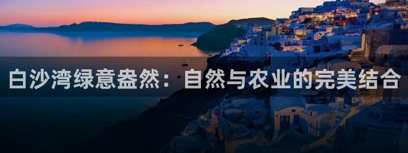 金靖年会