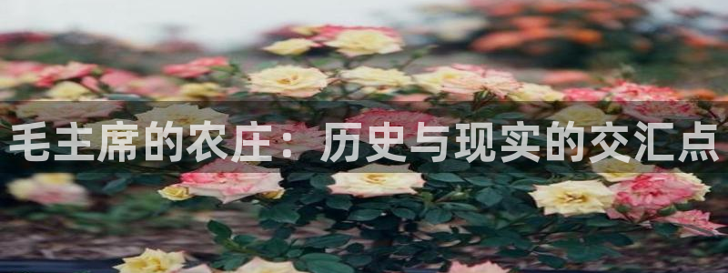 金年会体育下载