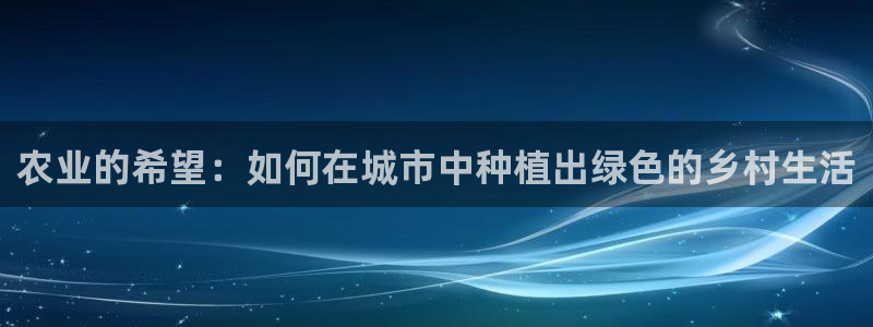 今年会金年会