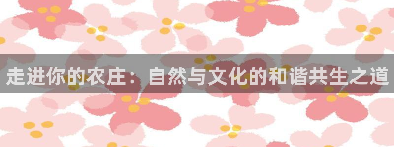 金帆年会2017