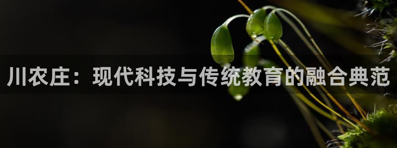 金年会投注官网