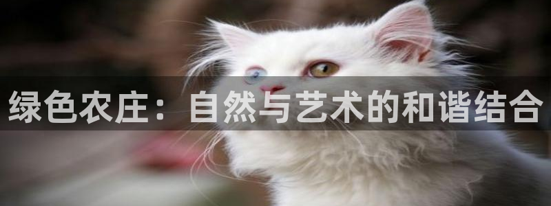金年会APP安装下载