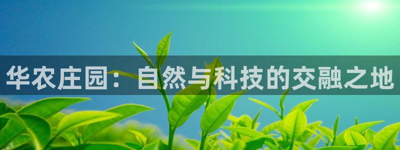 金年会最新登录