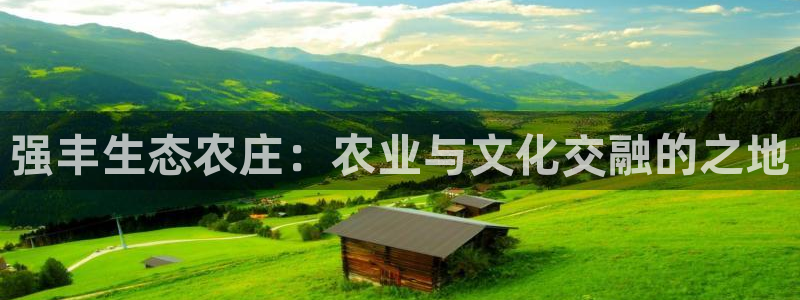 金年会赞助商