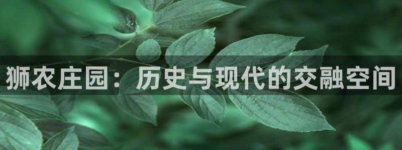 金年会退款