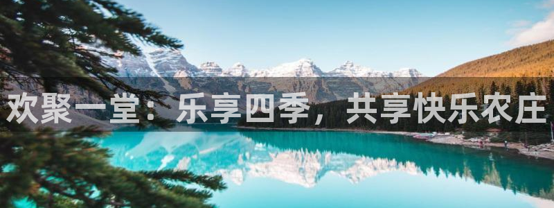金年会全站