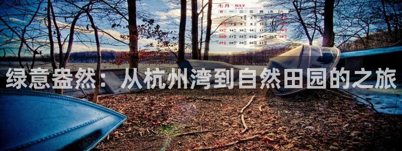 金年会是真的吗