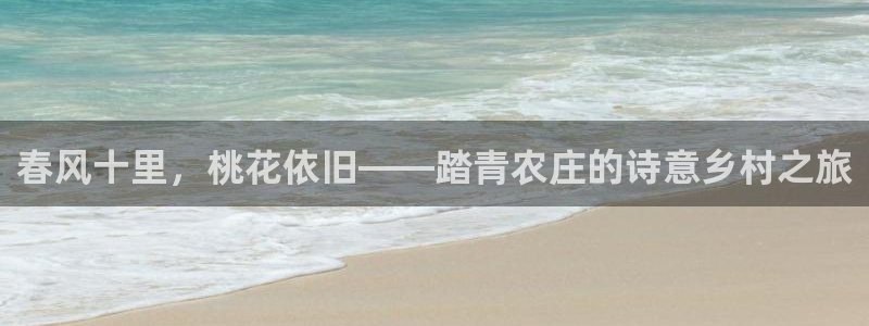 金升年会