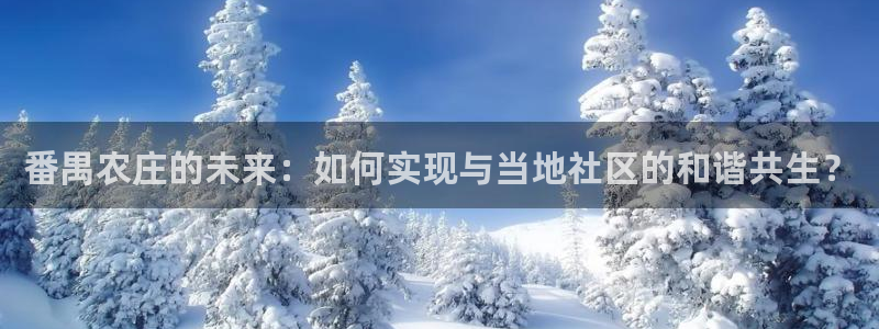 金年会会