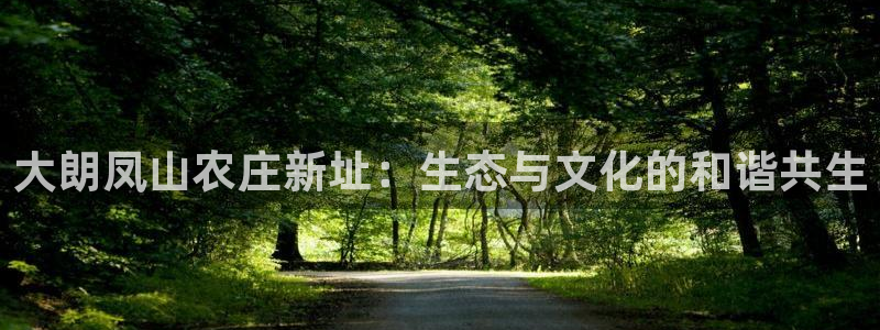年会金