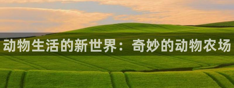 金年会6088070