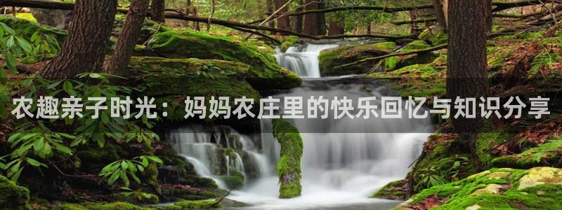 金年会手机登录