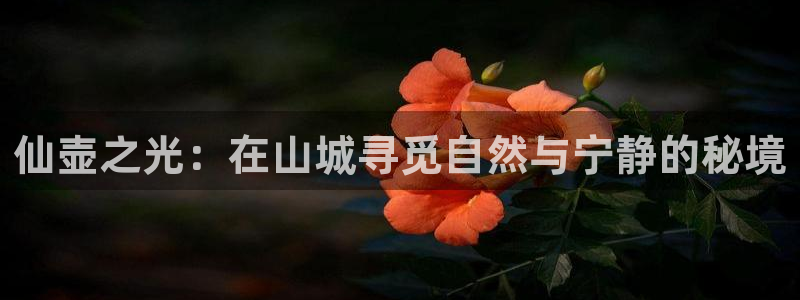 金雅陶瓷年会现场