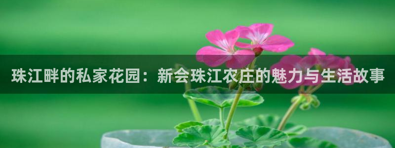 金年会官