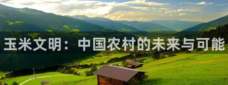 金年会是真的吗