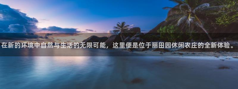 金帆年会2019