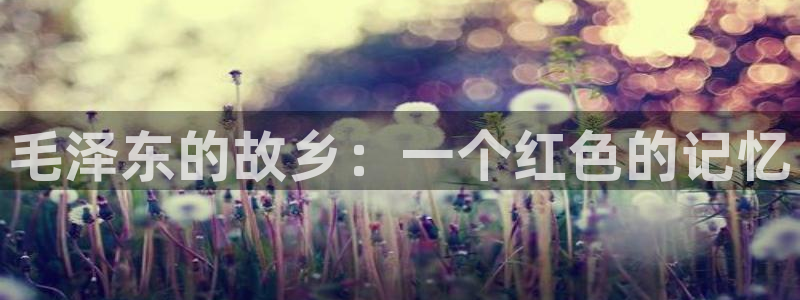 金年会手机版