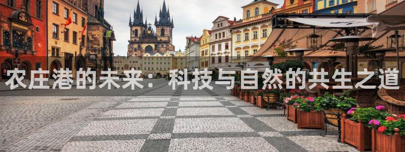 金年会网页版登陆