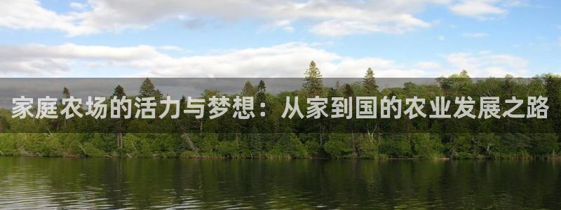 金年会这个平台