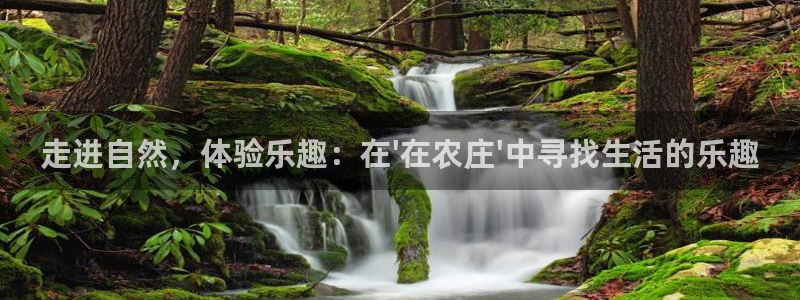 金年会官方入口