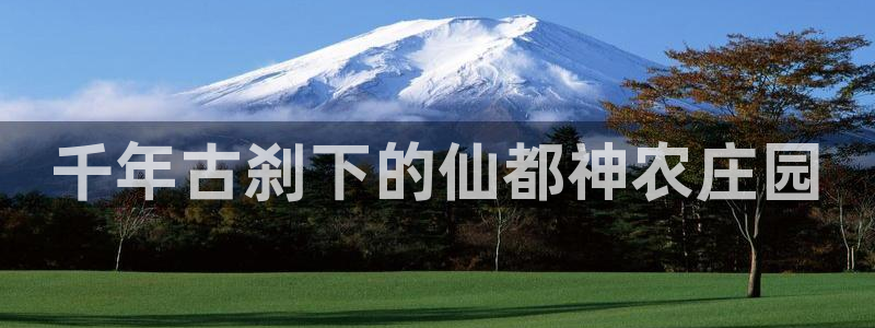 金年会在线登录