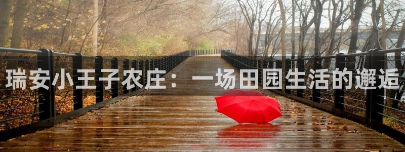 金哥年会