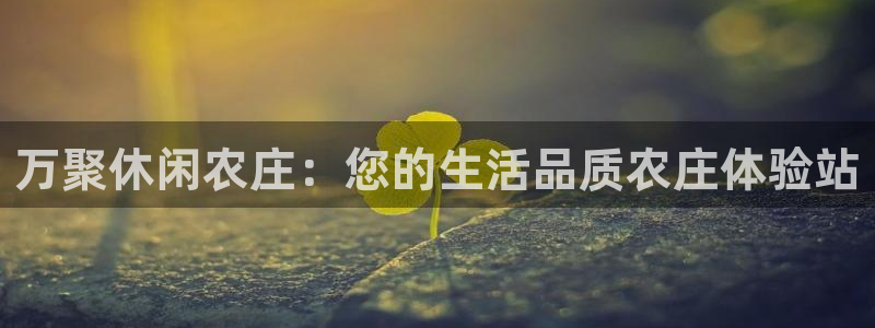 金年会娱乐app