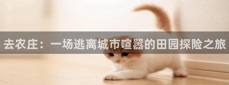 金年会APP下载