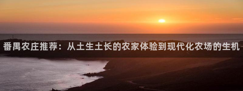 金吉年会