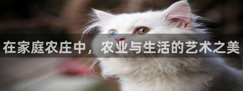 金年会登录平台入口