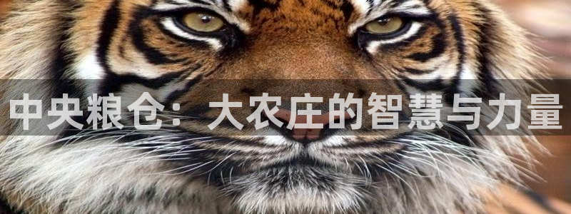 金年会娱乐下载app