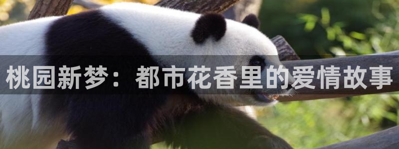 金年会中国金年会登录