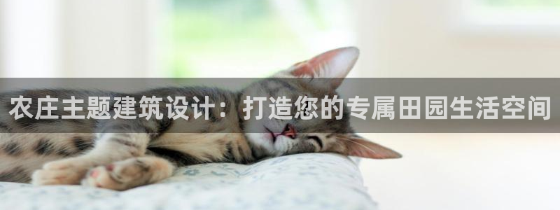 金年会是赌博的吗