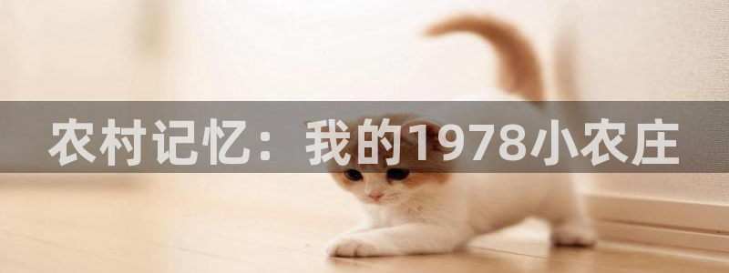 金年会网页登录