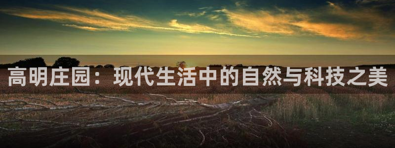 金年会体育官方下载