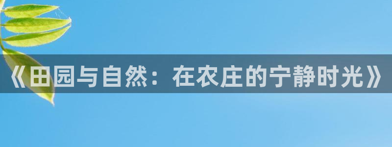 金年会网官网新版