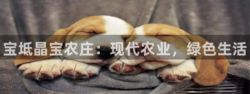 金年会平台包赔