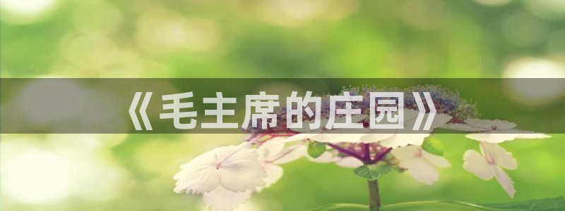 金年会是赌博的吗