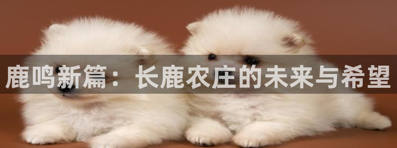 世界杯金年会app下载