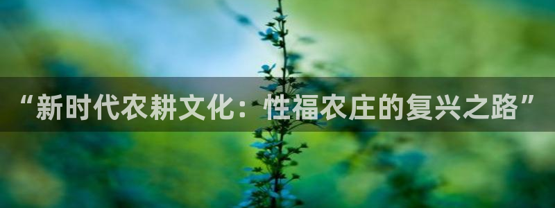 澳门与金年会的关系