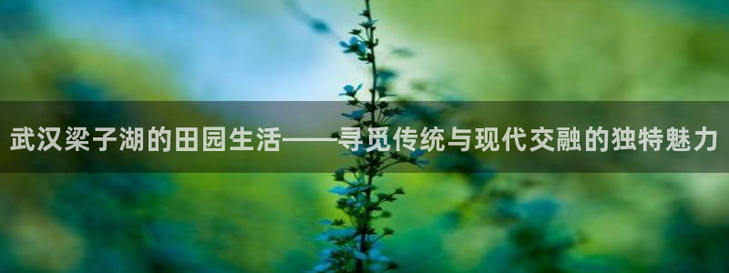 金年会手机官网