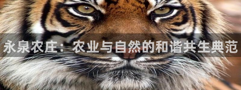 金年会官方客服