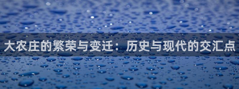 金年会体育官方网站入口