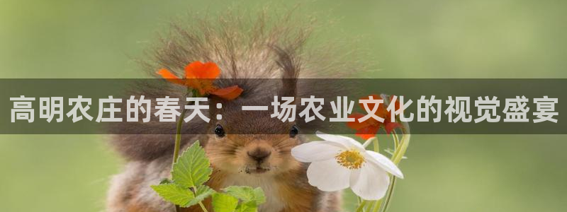 金年会游戏官网